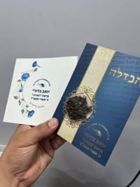 תמונה 3