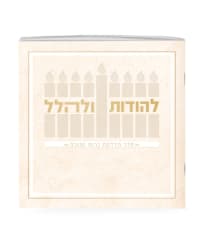 תמונה 1