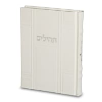 תמונה 2