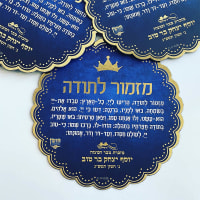 תמונה 1