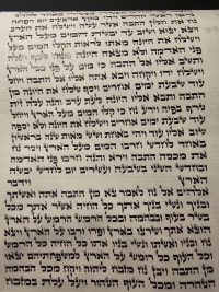 תמונה 2