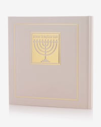 תמונה 2