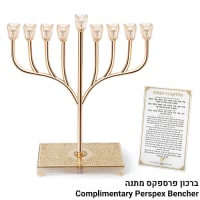 תמונה 2