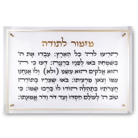 תמונה 2