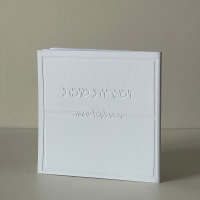 תמונה 3