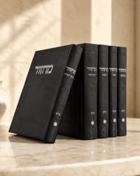 תמונה 1