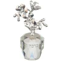 תמונה 2