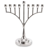 תמונה 1