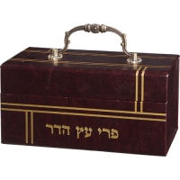 תמונה 2