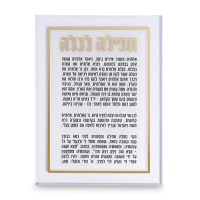 תמונה 1