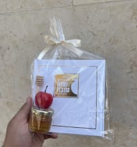 תמונה 2