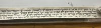 תמונה 5