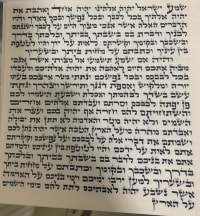 תמונה 1