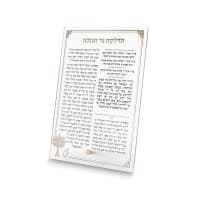 תמונה 1