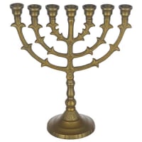 תמונה 2