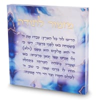 תמונה 2