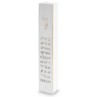 תמונה 1