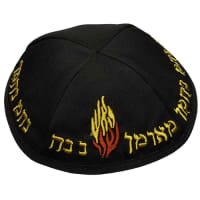 תמונה 2