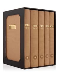תמונה 1