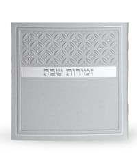 תמונה 1