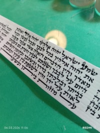 תמונה 3