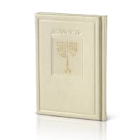תמונה 2