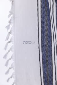 תמונה 3