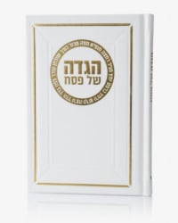 תמונה 3
