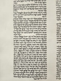 תמונה 2