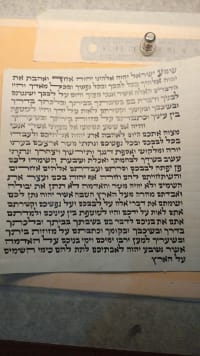 תמונה 1