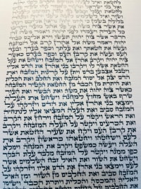 תמונה 2