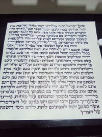 תמונה 1