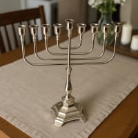 תמונה 3