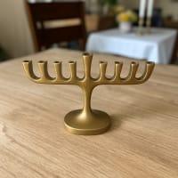 תמונה 4