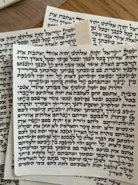 תמונה 1