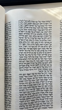 תמונה 2