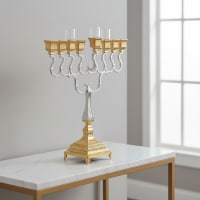 תמונה 5