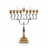 תמונה 6