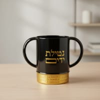 תמונה 3