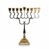 תמונה 4