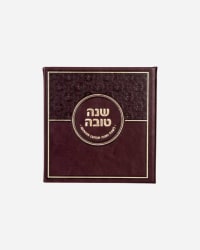 תמונה 3
