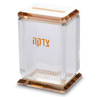 תמונה 1