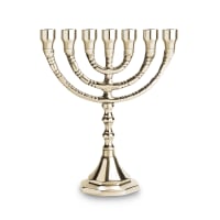 תמונה 1