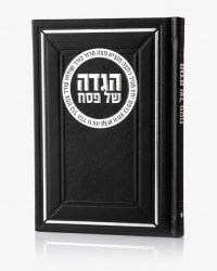 תמונה 3