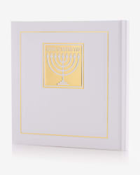 תמונה 2