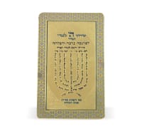 תמונה 2