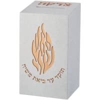תמונה 2