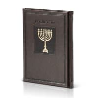 תמונה 1