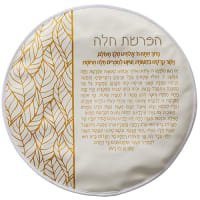 תמונה 2
