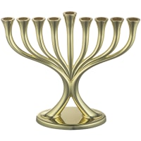 תמונה 2